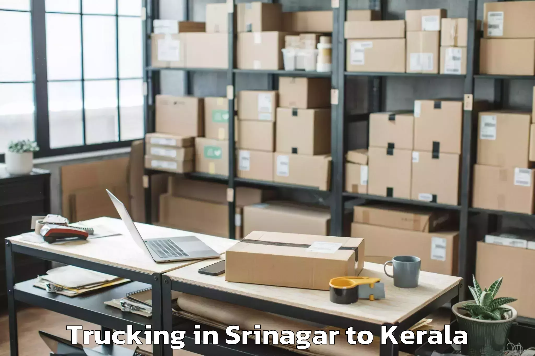 Book Srinagar to Karunagappally Trucking Online